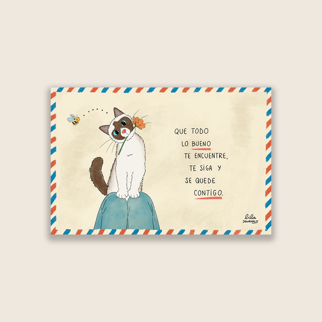 Postal de gatito