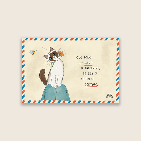 Postal de gatito